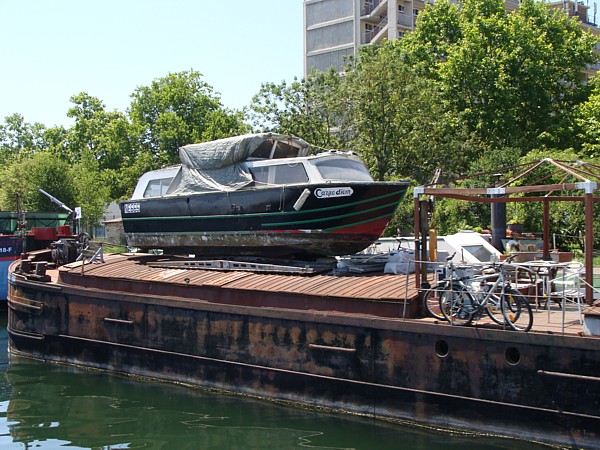 Carpe diem Carpe Diem