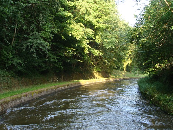 Urwaldähnliche Verhältnisse mit Achtung-Steinschlag-Schildern Urwaldähnliche Verhältnisse mit Achtung-Steinschlag-Schildern