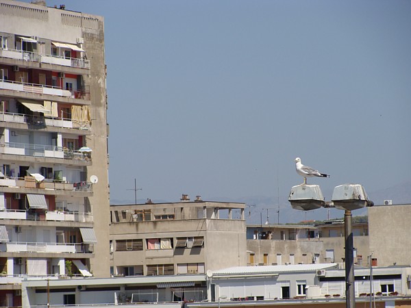 Zadar - Stadttor