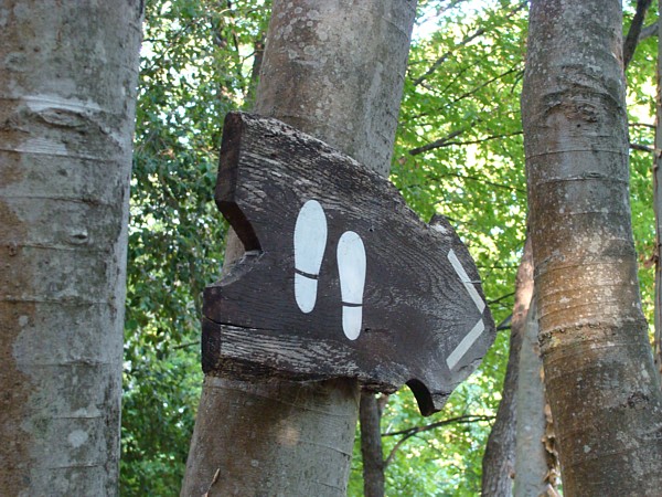 Auf zum Krka-Nationalpark