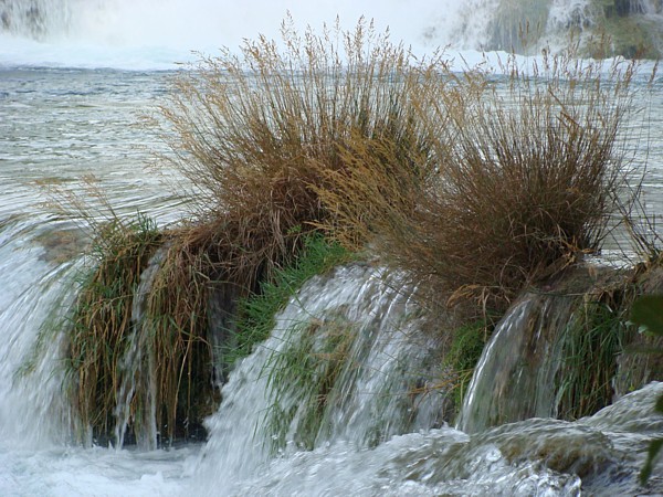 Im Krka-Nationalpark