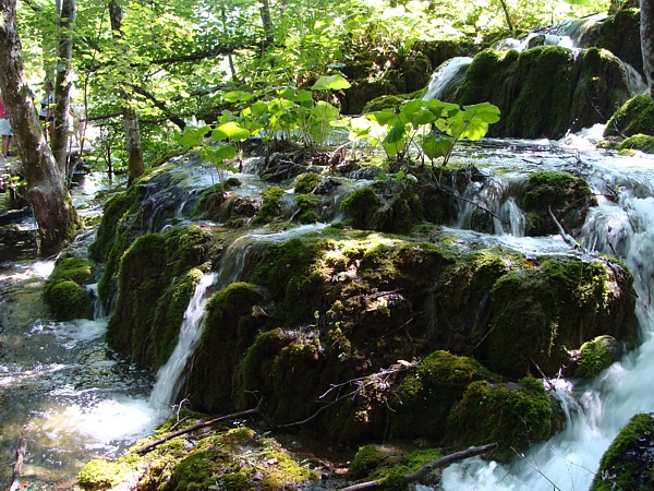 Nationalpark Plitvička Jezera, dt. Plitwitzer Seen