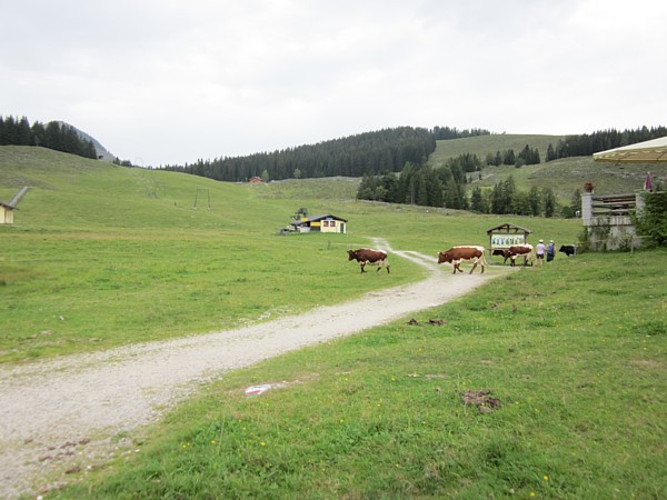 Auf der Postalm